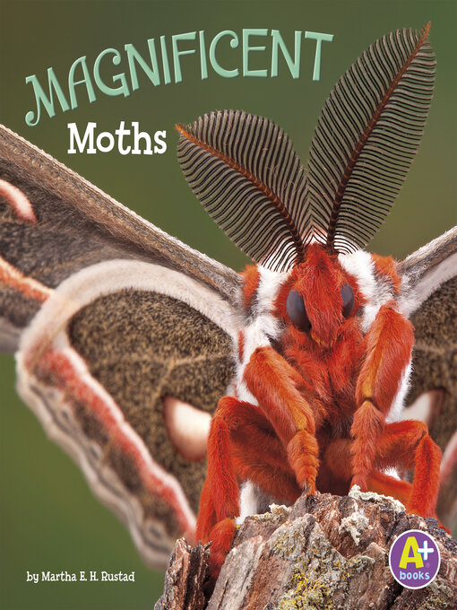 Title details for Magnificent Moths by Martha E. H. Rustad - Available